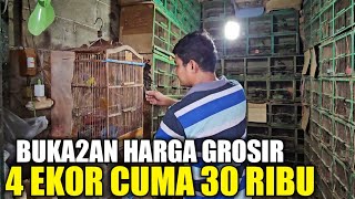 Download Lagu GREBEK ! AGEN GROSIRAN RATUSAN EKOR BURUNG OMBYOKAN DIKIOS PASAR BURUNG PRAMUKA MP3 Download Lagu GREBEK ! AGEN GROSIRAN RATUSAN EKOR BURUNG OMBYOKAN DIKIOS PASAR BURUNG PRAMUKA MP3