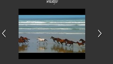 XML based Video Gallery in Flash , Part 2 of 2