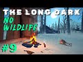 The Long Dark: No Wildlife Challenge: Ep 9 - Harvesting Legend