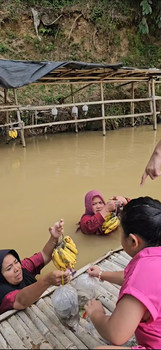 KeLaLu beli pisang didanau Lido 😱