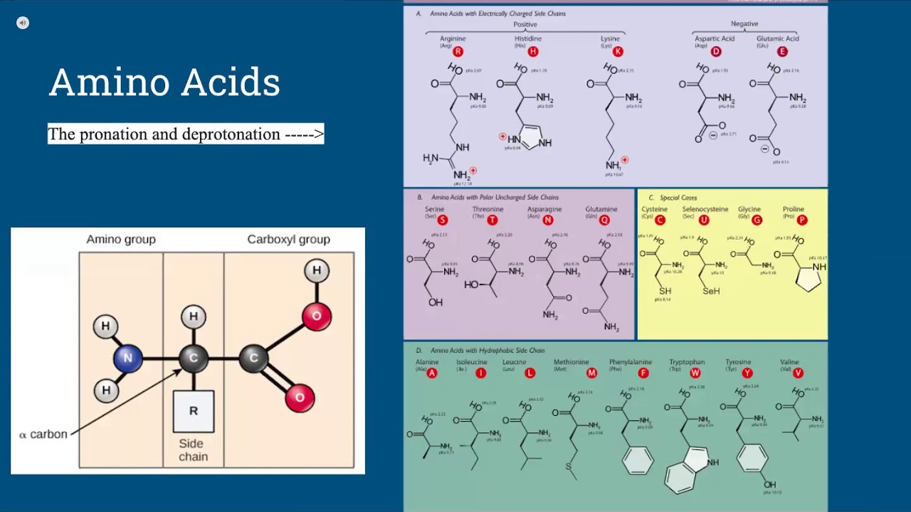 Аминокислоты москва. Amino acids ТЕТРАЛАБ. Amino acids Kit. Activation of Amino acids. Amino acid Golden.