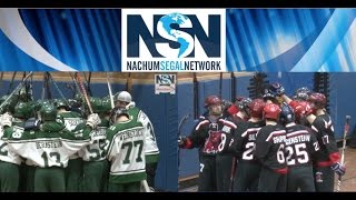 MYHSAL Boys Varsity Hockey Championship Game Highlights DRS  vs.  FRISCH  3/19/17