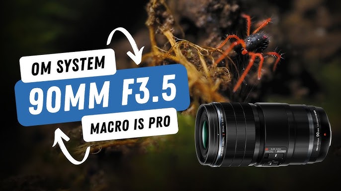 OM SYSTEM M.Zuiko 90mm F3.5 Macro IS Pro Lens | First Look with Gavin Hoey  - YouTube