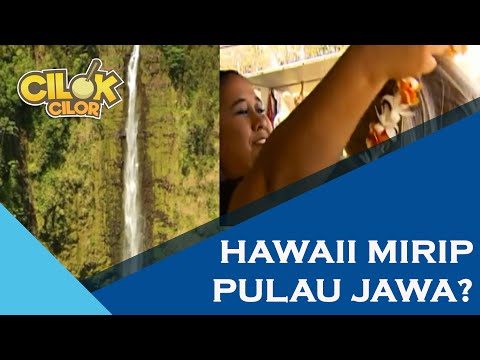 Video: 5 Perkara Yang Tidak Selesa Tentang Tinggal Di Hawaii - Rangkaian Matador