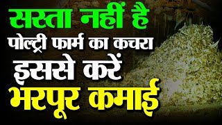 Poultry Farms के कचरे से करें भरपूर कमाई | Turn Waste to Profit | Poultry Waste Management