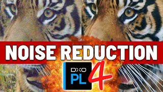DxO PhotoLab 4 is Here! DeepPRIME, Batch Rename, Watermark, more!