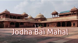 #jodhabai'spalace #jodhabaimahal