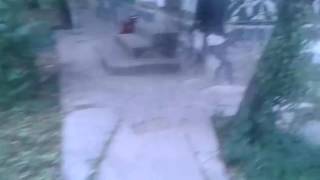 Celaleddin Ada Kara Sevda Bu Ok Resimi