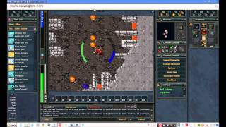 Tutorial flash Client, Como Usar