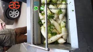 Automatic White Radish Washing Machine丨Vegetable Washing Machine Suppliers