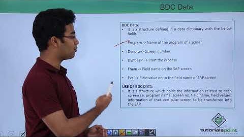 SAP ABAP - BDC Data