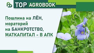 видео: Пошлина на лён, мораторий на банкротство, маткапитал - в АПК | TOP Agrobook: обзор аграрных новостей картинка: Пошлина на лён, мораторий на банкротство, маткапитал - в АПК | TOP Agrobook: обзор аграрных новостей
