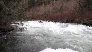 Peninsula Rapids Trask river