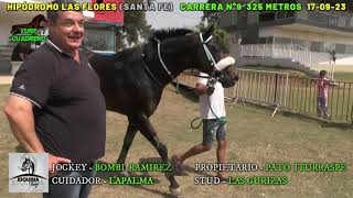 PATRICIO- Hipódromo Las Flores (Santa Fe) 17-09-23