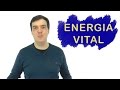 Energia Vital | 3 pontos que alimentam a sua Alma