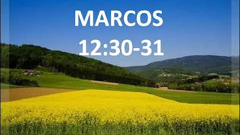 ¿Cuál es el significado de Marcos 12 31?