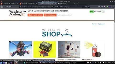 lab cors vulnerability with basic origin reflection ( CORS EXPLAINED) | CyberWorldSec