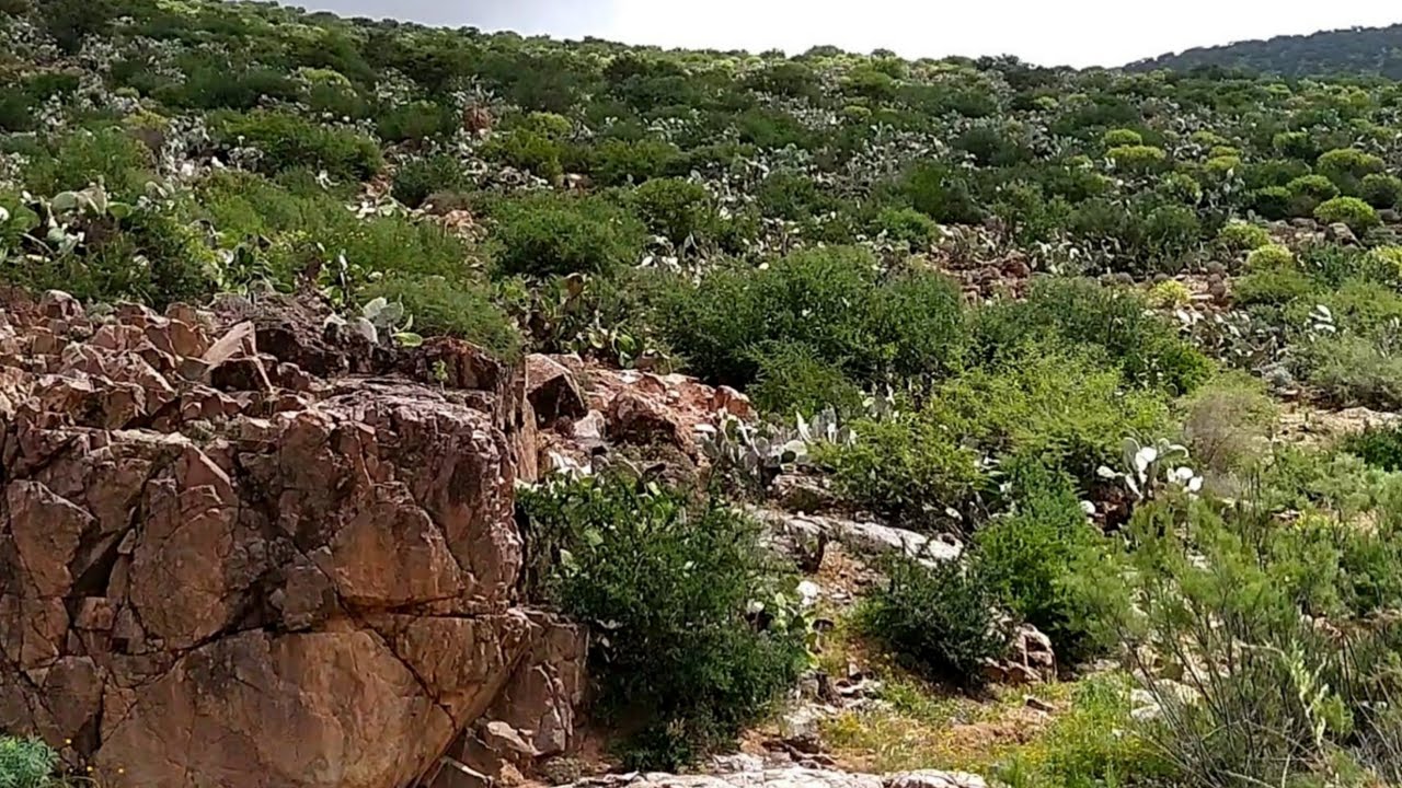 The mountains of Sidi Ifni are picturesque and attractive