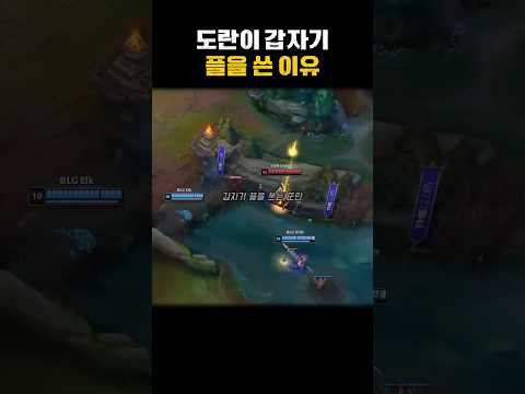 도란이 갑자기 플을 쓴 이유