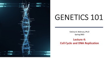 Cell Cycle and DNA Replication