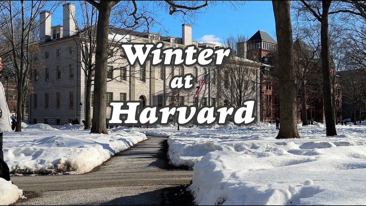 Harvard in Winter