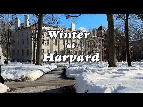 Harvard in Winter