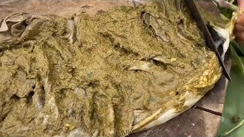 PỊA SỐNG ĐẶC SẢN TÂY BẮC.