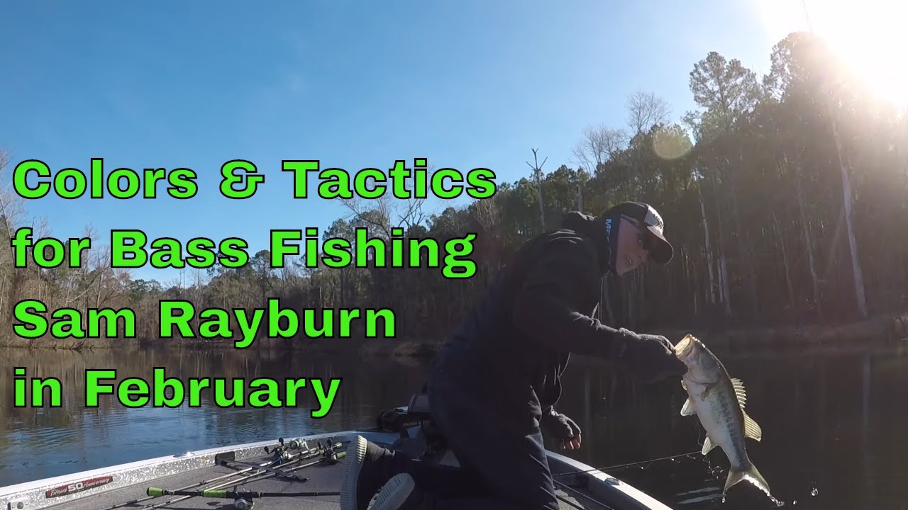 Sam Rayburn Colors and Tactics for February Bass Fishing YouTube