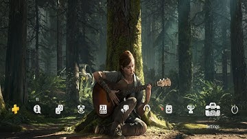 The Last Of Us Part II - NEW and Free Duality Theme - changes between Day and Night