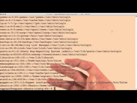 Introduction to etc password