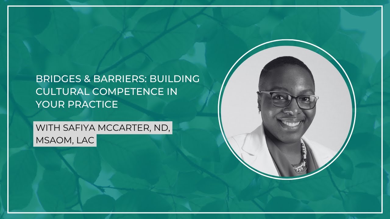 Bridges & Barriers: Building Cultural Competence in Your Practice - YouTube