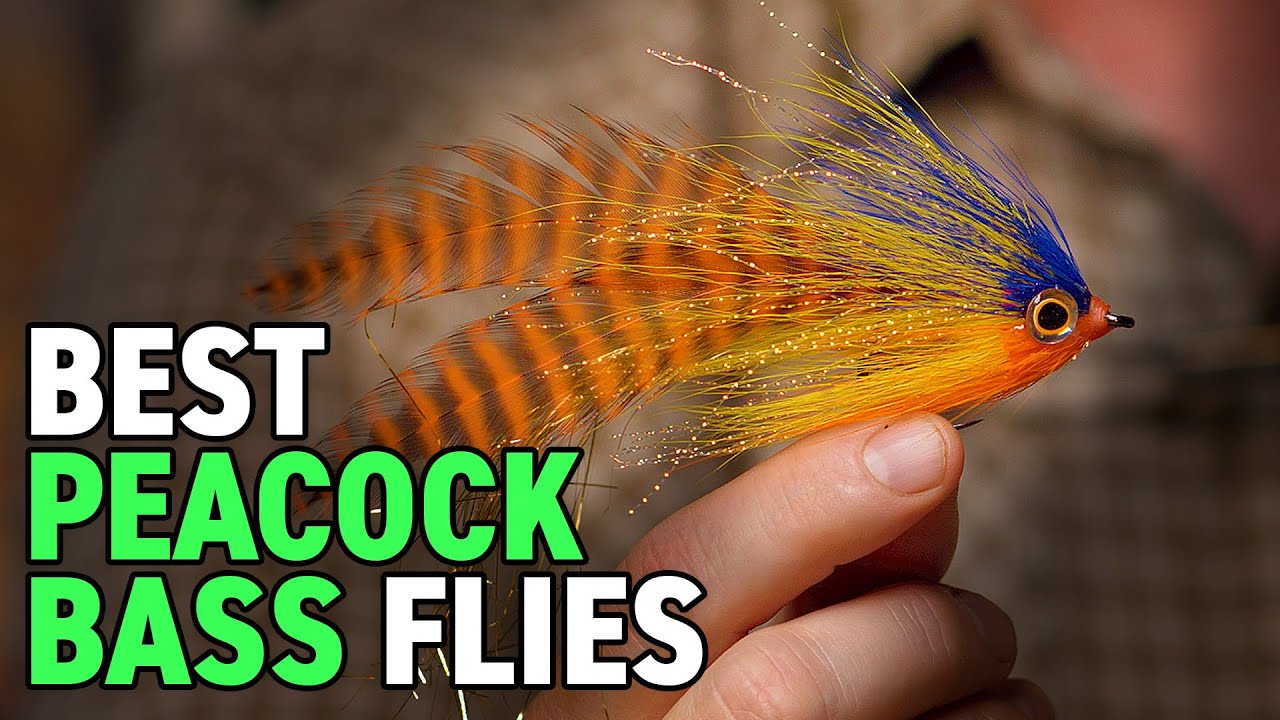 The TOP Peacock Bass Flies +  Jungle Fly Fishing Kit! 