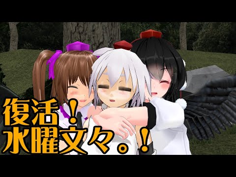 【水曜文々。＃２０】久々の復活！カップルの仲良し検証【東方MMD】【紙芝居】