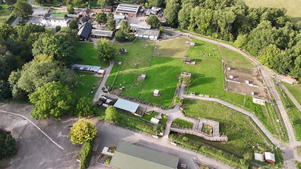 Godstone Farm Park  Surrey Cinematic View