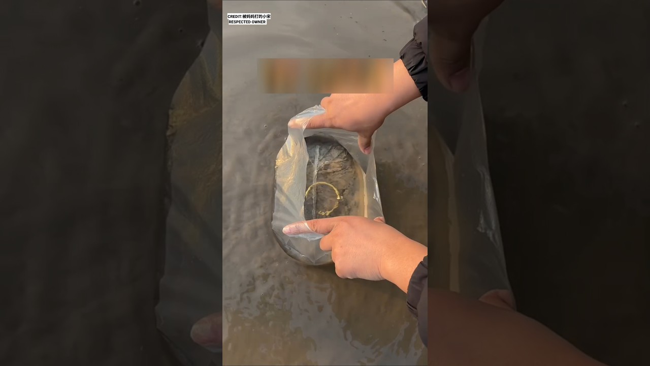 मम्मी की पिटाई से बचने का देसी जुगाड़ 😂