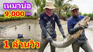 เหมาบ่อ 9,000บาท ใหญ่ๆเพียบ!!! บ่อนี้คุ้มยิ่งกว่าคุ้ม | Ep.049