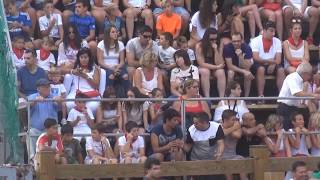 VACAS EN LA PLAZA EN MELIDA( NAVARRA) EULOGIO MATEO 23 -07- 2017.