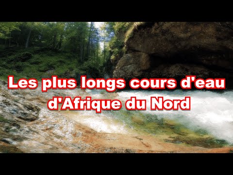 Les plus longs