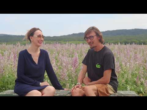 Видео: Сад лекарственных растений - Советы по выращиванию лекарственных трав