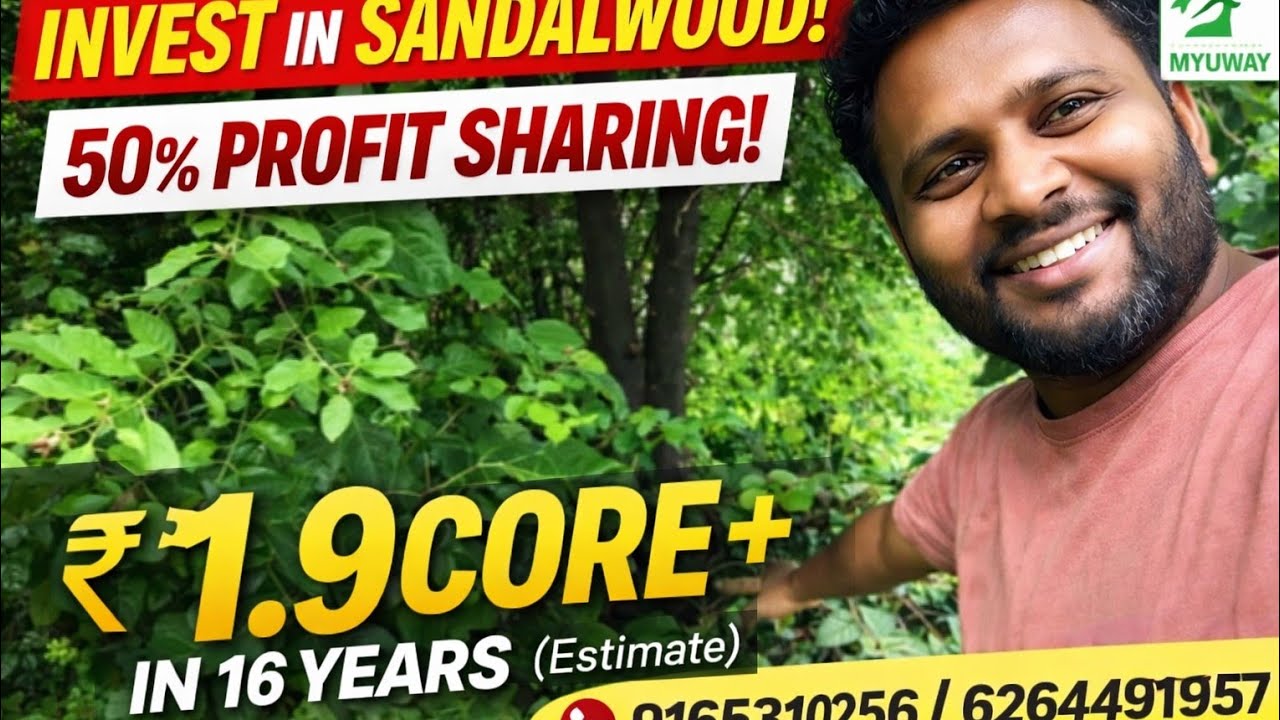 Sandalwood Farm House tour in Madhya Pradesh  l White and Red Sandalwood Plantation 