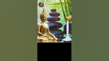 5 Dấu Hiệu Cho Thấy Bạn Đang Được Trời Phật Che Chở