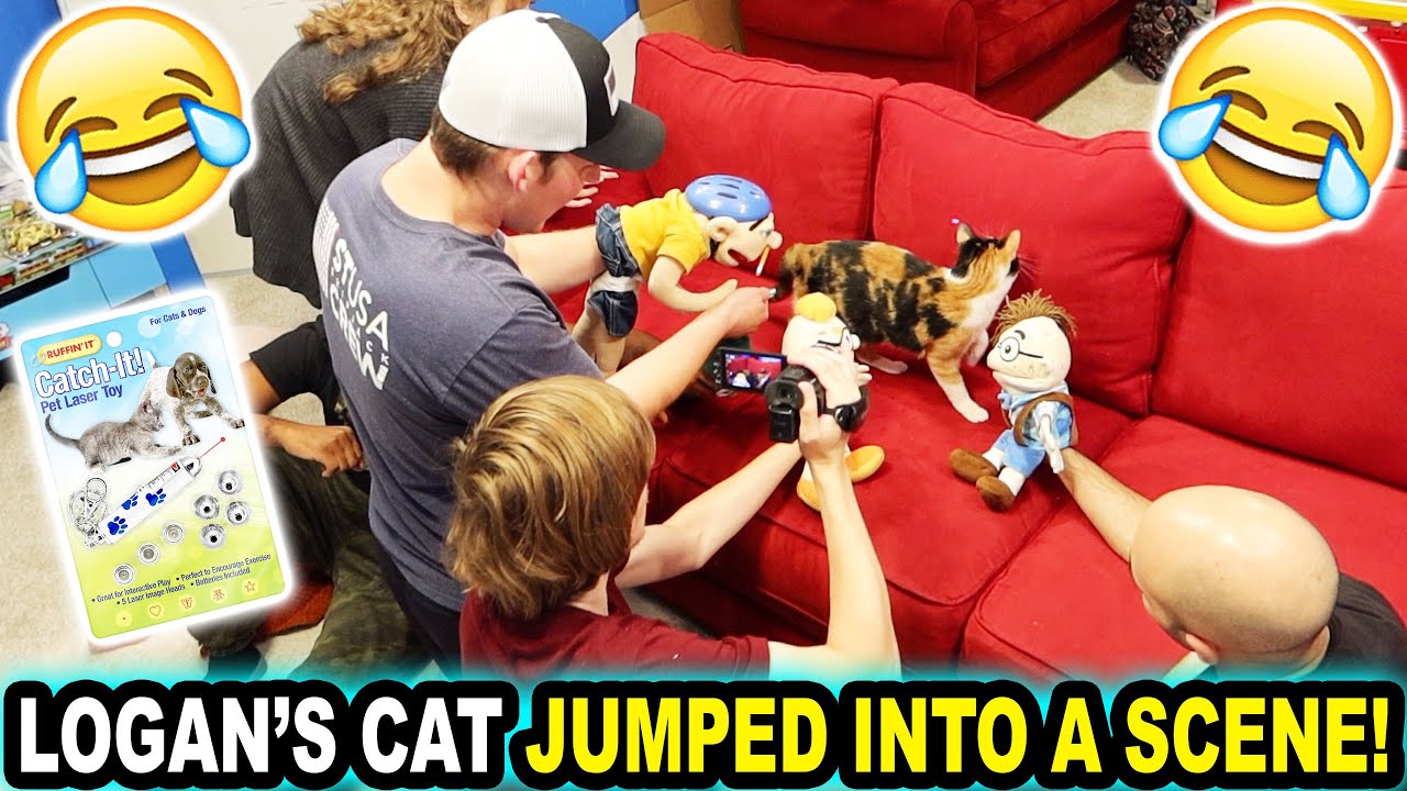LOGAN'S CAT JUMPED INTO A SCENE! YouTube