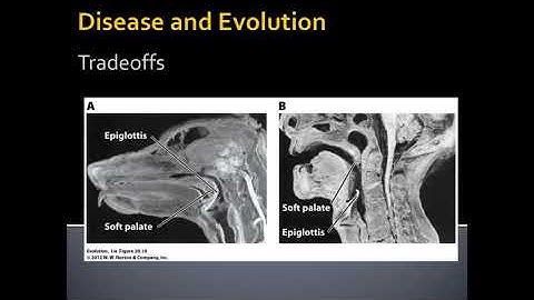 Unit 4.5.2 Evolution of Human Pathogens