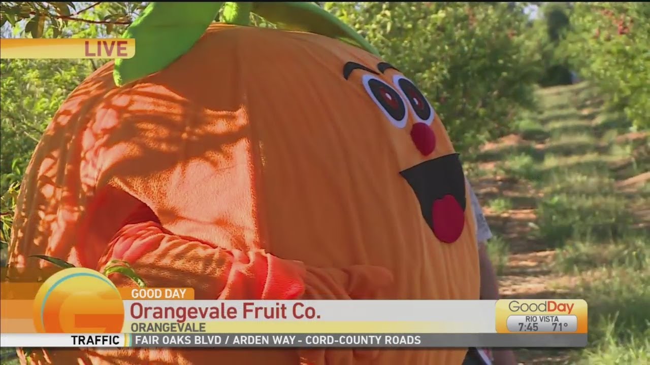 Orangevale Hidden Gems: Fruit Co.