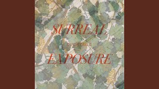 Video thumbnail of "Ducktails - Surreal Exposure"