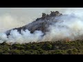 view This Amazing Plant Ecosystem Actually Thrives on Fire (4K) digital asset number 1