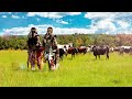 Inkabi Zezwe, Sjava & Big Zulu - Emaphusheni  [Official Visualizer]