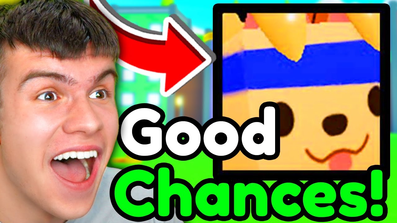 *NEW* HUGE BASKETBALL RETRIEVER CHANCES are EASY In Roblox PET