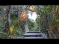 Tour of Hotel Ikal in Tulum Mexico