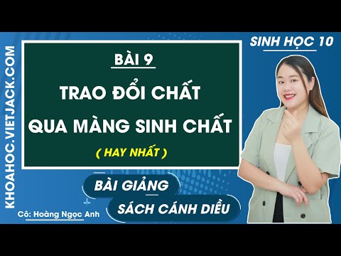 Video: Định nghĩa ngắn gọn của màng sinh chất là gì?